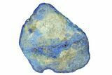 Vivid Blue, Cut/Polished Azurite Nodule - Siberia #175574-1